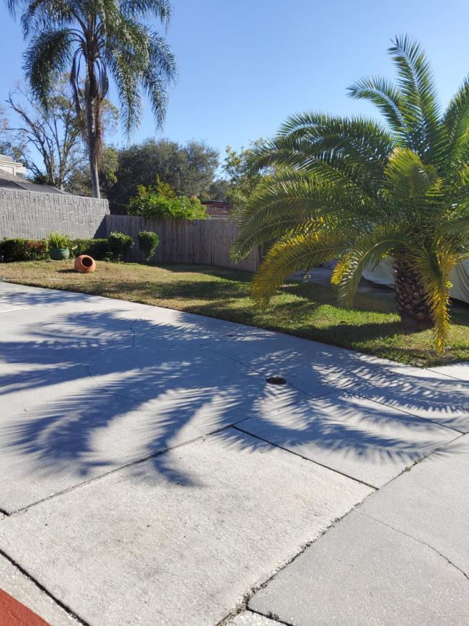 Beautiful Apartment Close To Everything Tampa Exterior foto